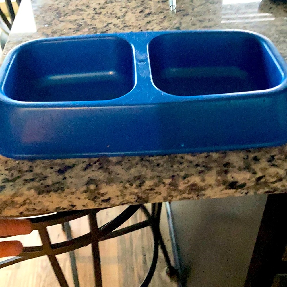 Puppy training bowl